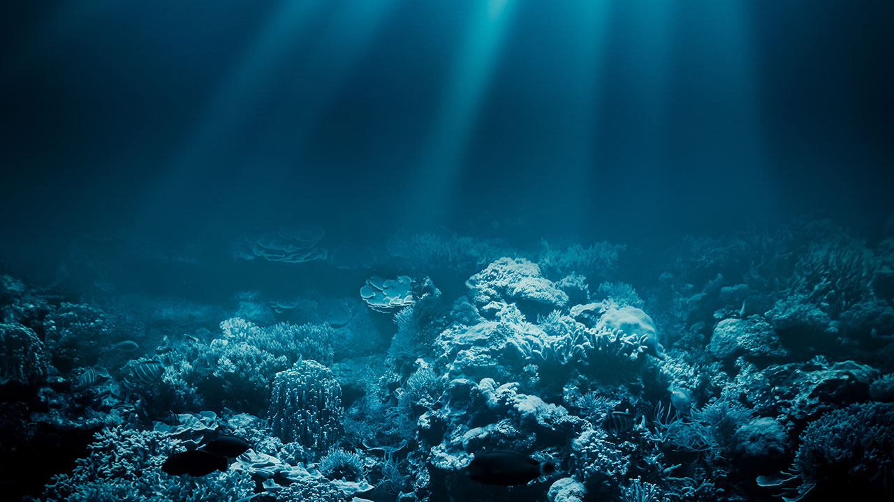 Environnement subaquatique – SUBTOP