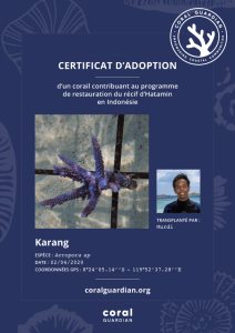 Certificat d'adoption du corail