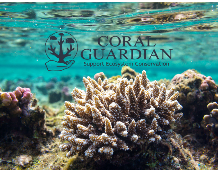 Corail Guardian Association